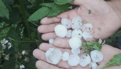 PRVO JE DOBOVALO PO PROZORIMA, A ONDA IM SE DVORIŠTE NAPUNILO LEDOM! Jako nevreme pogodilo Užice!