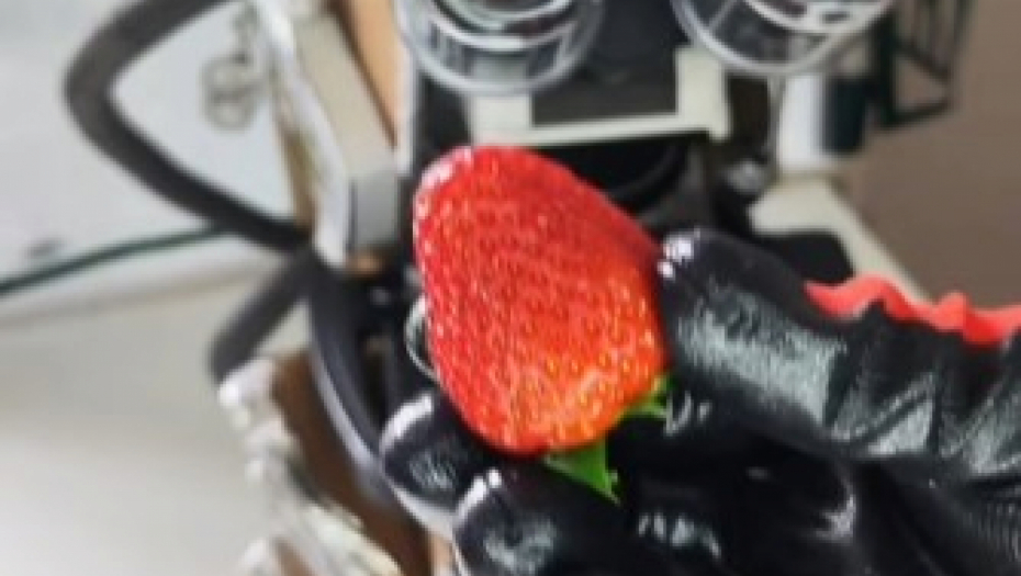 DOKTOR SNIMIO JAGODU POD MIKROSKOPOM Kada vidite mikroorganizme zgrozićete se, postoji samo jedan način da ih pravilno operete! (VIDEO)
