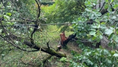 NEVREME JE KIDALO I NOSILO SVE PRED SOBOM Snimljene dramatične slike nakon jakog nevremena koje je pogodilo Čačak