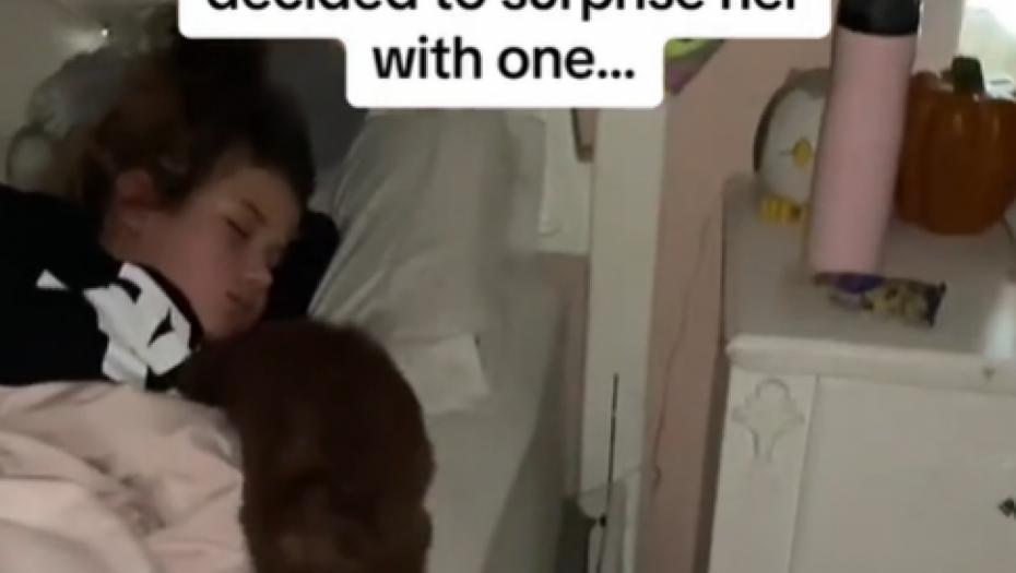 RONILA SUZE ZBOG POKLONA RODITELJA Devojčica usred noći na svom krevetu zatekla OVO (VIDEO)
