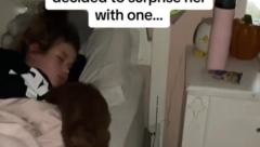 RONILA SUZE ZBOG POKLONA RODITELJA Devojčica usred noći na svom krevetu zatekla OVO (VIDEO)