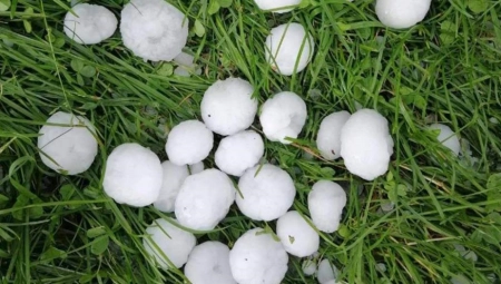 POGLEDAJTE KAKVO NEVREME NA ZLATIBORU! Grad veličine jajeta: Počelo je da tuče po kolima, morali smo da se sklonimo! (VIDEO)