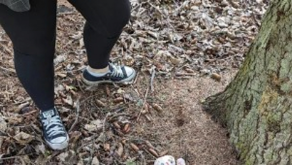 BRAČNI PAR ŠETAO ŠUMOM Pogledali u zemlju, a tamo - prizor iz najgore noćne more!