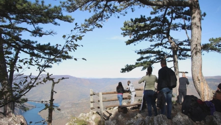 SAFARI, ALI PO SRPSKI! Turisti raspamećeni novom turističkom atrakcijom na Tari: Voze se svi od 3 do 83 godine! (FOTO)