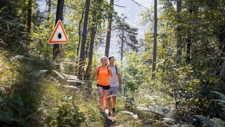 Iz prikrajka čekaju da se "zakače": Pripazite, ova boja odeće magnet je za krpelje