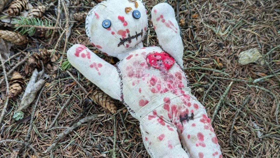 PRETRNUO OD STRAHA Čovek šetao šumom, pa naišao na JEZIVU LUTKU (FOTO)
