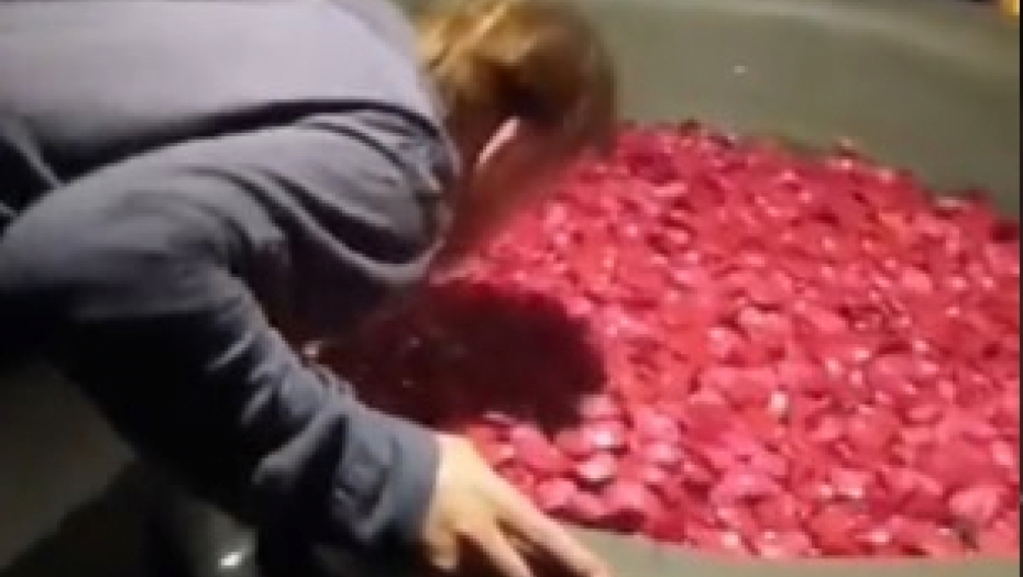 SNIMAK BAHATOG TURISTE RAZBESNEO DRUŠTVENE MREŽE Gura glavu u činiju i pravi haos, ko će ovo posle da čisti ? (VIDEO)