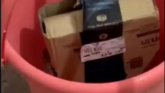 NARUČILI X BOX A DOBILI SMRTONOSNU OTROVNICU Kada su videli kako joj iz kutije izlazi glava, zaledila im se krv u žilama! (VIDEO)