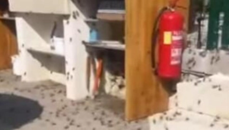 ZRIKAVCI OKUPIRALI POZNATO LETOVALIŠTE! Meštane zadesila velika muka usred sezone, oglasila se struka! (VIDEO)