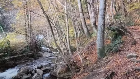 INCIDENT U POZNATOM REZERVATU PRIRODE! Dete TEŠKO povređeno prilikom pada, helikopterom HITNO prevezeno u bolnicu!