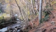 INCIDENT U POZNATOM REZERVATU PRIRODE! Dete TEŠKO povređeno prilikom pada, helikopterom HITNO prevezeno u bolnicu!