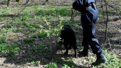 ELITNE POLICIJSKE I VOJNE JEDINICE TRAGAJU ZA ODBEGLIM BALIJAGIĆEM Pretraženo 100 kvadratnih kilometara
