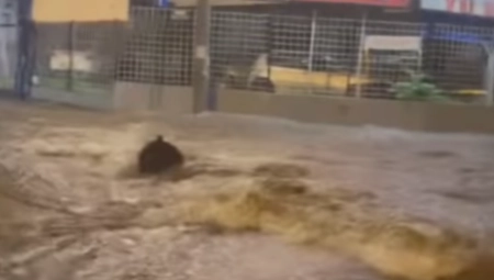 OVO MESTO U BEOGRADU JE NAJKRTIČNIJE? Kao nebo da se otvorilo u prestonici, muškarac se peške probija kroz poplavljene ulice (VIDEO)