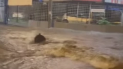 OVO MESTO U BEOGRADU JE NAJKRTIČNIJE? Kao nebo da se otvorilo u prestonici, muškarac se peške probija kroz poplavljene ulice (VIDEO)