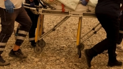 CELA GRUPA NAPALA JADNU SPLIĆANKU! Udarali je direktno u glavu, hteli oči da joj iskopaju - prolaznici zaustavili KATASTROFU!