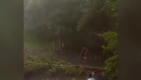 SNAŽNA OLUJA Vetar obarao drveće u prestonici
