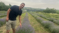 BOJAN NAPRAVIO SRPSKU PROVANSU! Umesto šljiva i kajsija posadio LAVANDU! (FOTO)
