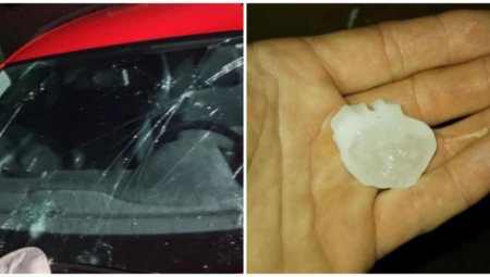 KAKO NAPLATITI ŠTETU AKO VAM TOKOM OLUJE STABLO PADNE NA AUTO? Postoje 3 načina, od njih možete da naplatite