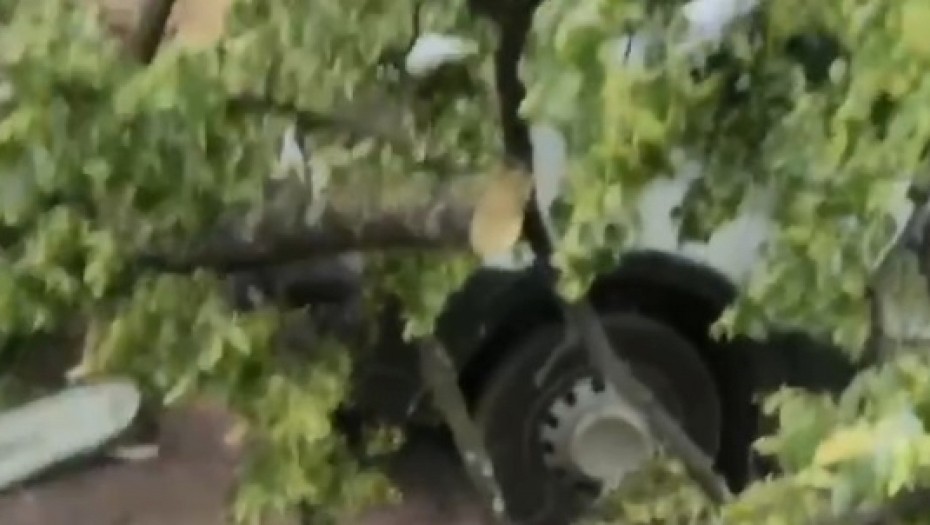 (UZNEMIRUJUĆI VIDEO) Drvo palo tokom nevremena i ubilo ženu