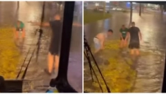 NEVREME POTOPILO BEOGRAD, A ONI LUDUJU! Grupa klinaca napravila ŠOU u bari, svi ih gledali i snimali (VIDEO)