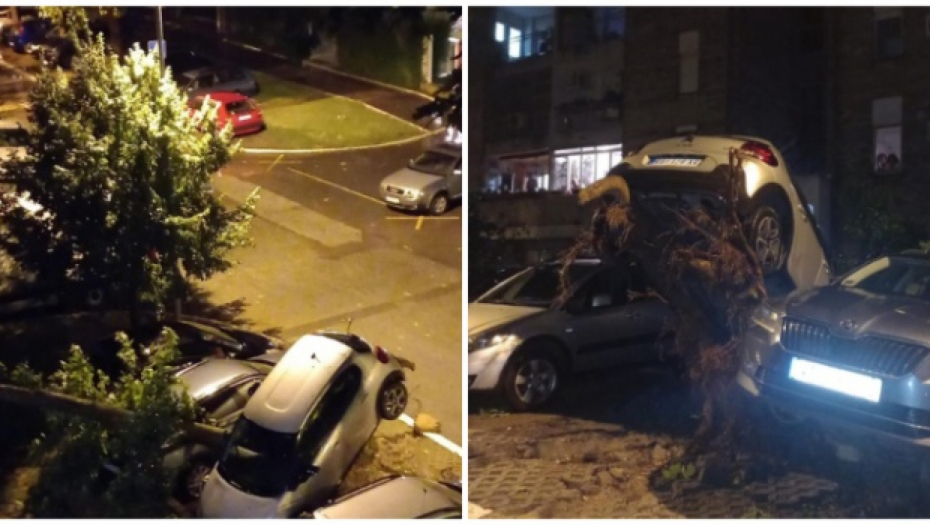 "IMAĆEMO JOŠ RAZORNIJE OLUJE OD OVIH" Dramatično predviđanje srpskog klimatologa: "Ovo nije slučajno"
