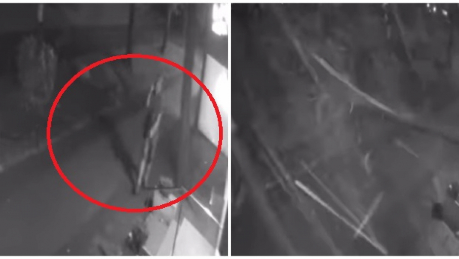 MLADIĆ U SEKUNDI IZBEGAO SMRT Jezivi snimak iz Beograda, DRVO SE SAMO SRUČILO! Da nije ubrzao... (VIDEO)