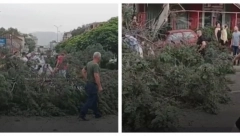 DRVO PALO NA ŽENU, OSTALA JE ZAGLAVLJENA ISPOD Horor scena u Skoplju, ljudi u panici trče (VIDEO)