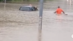 OVO SU PRAVI JUNACI! Radnici "Gradske čistoće" spasili deku od DAVLJENJA (VIDEO)