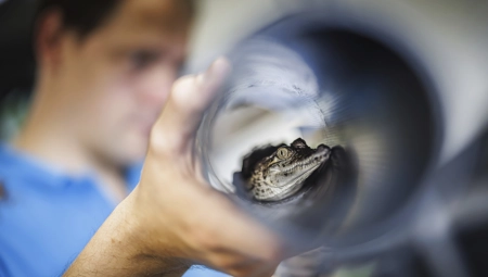UŽAS! Pronađeni ostaci devojčice, potvrđen najgori scenario