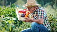 IMA DUPLO VIŠE VITAMINA C OD LIMUNA Žute, zelene ili crvene, iznenadićete se koje paprike su najzdravije