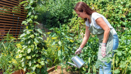 URADITE OVO PRE SADNJE Svi pravimo jednu veliku grešku koja šteti biljkama, ekspert zato predlaže bolje rešenje