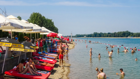 MEDUZE NA ADI CIGANLIJI! Stigle su iz Kine, a profesor objašnjava i da li su opasne!