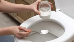 SIPALA SAM 50 GRAMA OVOG PRAHA U WC ŠOLJU I OSTAVILA PREKO NOĆI  Ujutru je sav kamenac nestao, bila je kao nova