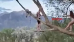UZELA JE KONOPAC. POPELA SE NA DRVO... Zbog onoga što je usledilo, ljudi su popadali od smeha (VIDEO)