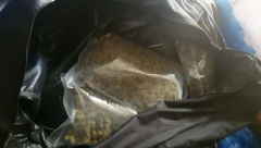 VELIKA ZAPLENA NOVOSADSKE POLICIJE   Kod dilera iz Beograda pranađeno 5,6 kilograma marihuane