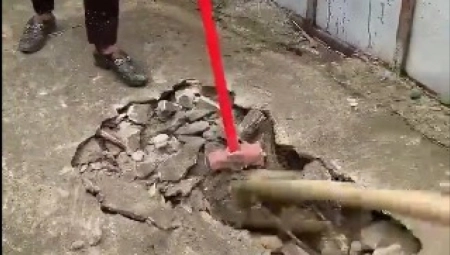 ZBOG NEOBIČNIH ZVUKOVA ISPOD BETONA LJUDI SU RAZBILI TROTOAR Zver koja se pojavila uplašila ih je do srži
