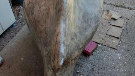 PRIZNAO DA JE UZEO SKULPTURU TEŠKU 300 KILA To je uradio iz straha da ne bude uništena