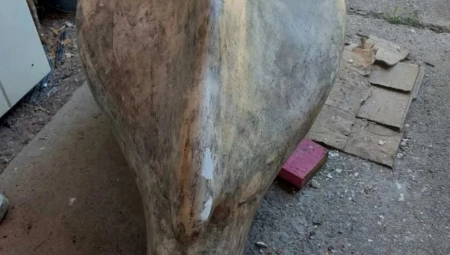 HIT KRAĐA NA NOVOM BEOGRADU  Iz hola zgrade ukrao skulpturu „Delfin"