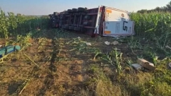 NESVAKIDAŠNJI UDES KOD RAŽNJA Izgubio kontrolu pa završio u kukuruzima