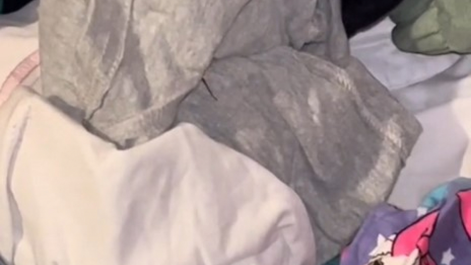 ,,PRESELIO BIH SE U DRUGU KUĆU!'' Slagala dečje stvari, pa naletela na odvratnog insekta, prizor kao iz horor filmova! (VIDEO)