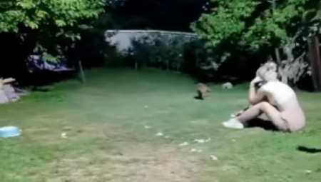 BEOGRAĐANIMA LISICE UPALE U DVORIŠTE KAO U SVOJ DOM! Reakcija meštana je URNEBESNA (VIDEO)