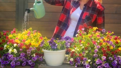 KAKO OPORAVITI OSUŠENO CVEĆE U SAKSIJI Napravite rastvor za biljke od kojeg će odmah početi da bujaju!