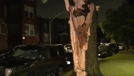 JAKA OLUJA I TORNADO POKOSILI SVE PRED SOBOM! Grom udario u drvo, više od 460.000 kuća BEZ STRUJE! (VIDEO)