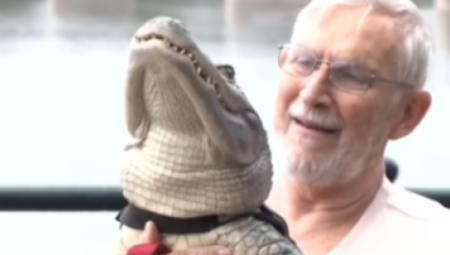 "IZBEZUMLJEN SAM, VRATITE MOJU BEBU" Muškarcu nestao aligator Voli (VIDEO)