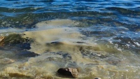 KAKAVE SU OVO SLUZAVE NASLAGE? Širom Istre uznemireni zbog prljavštine: Plaže su gotovo pretrpane, a malo ko se usuđuje da se kupa u moru