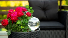 KAKO DA SE VAŠE CVEĆE NE OSUŠI DOK STE NA ODMORU Ne zamarajte komšije - Trik koji morate da znate