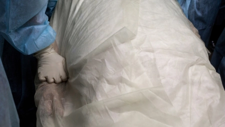 ŠEST LEŠEVA PRONAĐENO U LUKS HOTELU Išla im je pena na usta, sumnja se da su otrovani