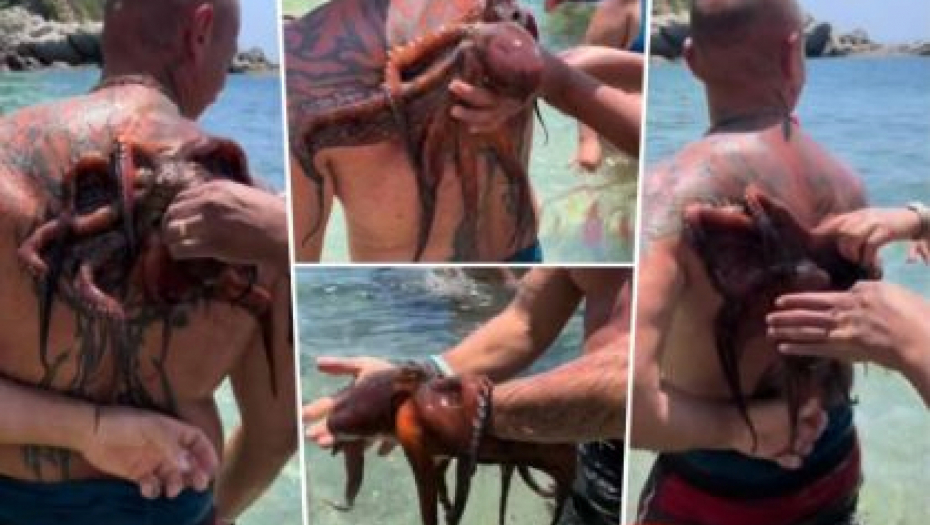 ČOVEK IZAŠAO IZ MORA U GRČKOJ, A NA LEĐA MU SE ZALEPILA HOBOTNICA: Nastala vriska i panika na plaži! (VIDEO)