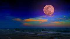 HOROSKOP ZA 18. JUL Ovnu zahlađenje sa voljenom osobom, Lavu kočnice na poslu, Devici osetljivi sinusi