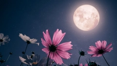 PUN MESEC U RIBAMA 18. SEPTEMBRA DONOSI DRASTIČNE PROMENE Ova 3 znaka neće znati šta ih je snašlo